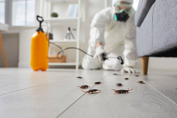 Commercial Kitchen Cockroach Control in Farr West